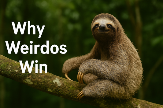 Why Weirdos Win: Embracing Your Sloth Superpower